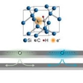 Paper Published in Optica!